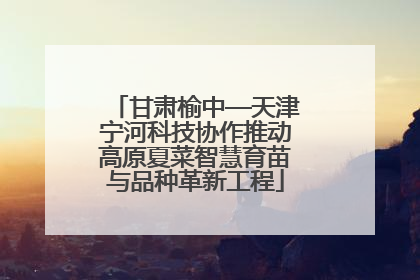 甘肃榆中—天津宁河科技协作推动高原夏菜智慧育苗与品种革新工程