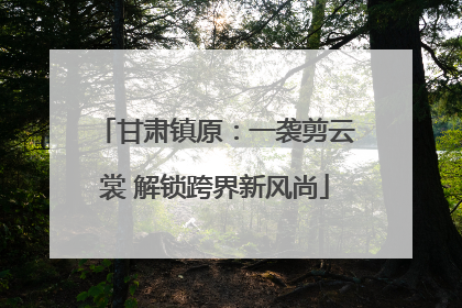 甘肃镇原：一袭剪云裳 解锁跨界新风尚