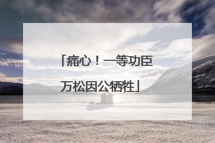 痛心！一等功臣万松因公牺牲