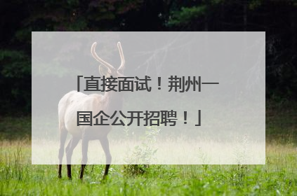 直接面试！荆州一国企公开招聘！