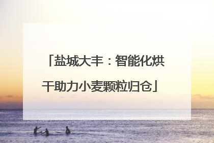 盐城大丰：智能化烘干助力小麦颗粒归仓
