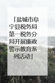 盐城市阜宁县税务局第一税务分局开展廉政警示教育系列活动