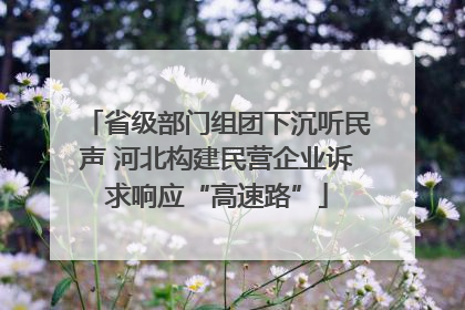 省级部门组团下沉听民声 河北构建民营企业诉求响应“高速路”