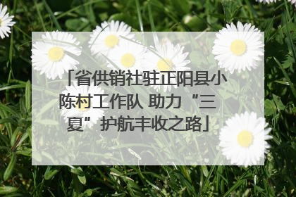 省供销社驻正阳县小陈村工作队 助力“三夏”护航丰收之路