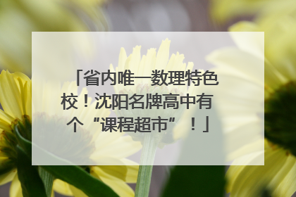 省内唯一数理特色校！沈阳名牌高中有个“课程超市”！