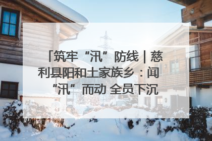 筑牢“汛”防线｜慈利县阳和土家族乡：闻“汛”而动 全员下沉筑牢防汛“安全堤”