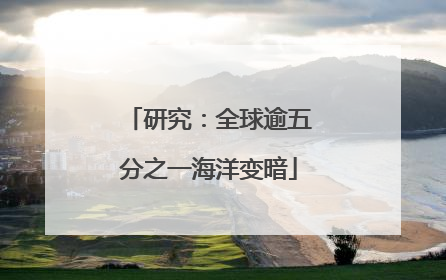 研究：全球逾五分之一海洋变暗
