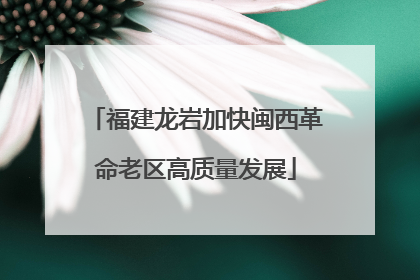 福建龙岩加快闽西革命老区高质量发展