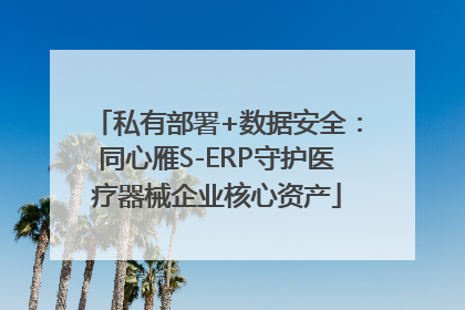 私有部署+数据安全：同心雁S-ERP守护医疗器械企业核心资产