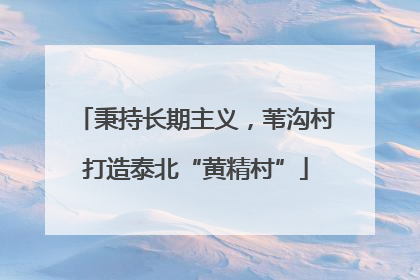 秉持长期主义，苇沟村打造泰北“黄精村”