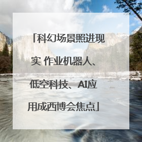 科幻场景照进现实 作业机器人、低空科技、AI应用成西博会焦点