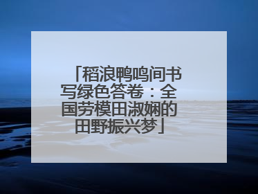 稻浪鸭鸣间书写绿色答卷：全国劳模田淑娴的田野振兴梦