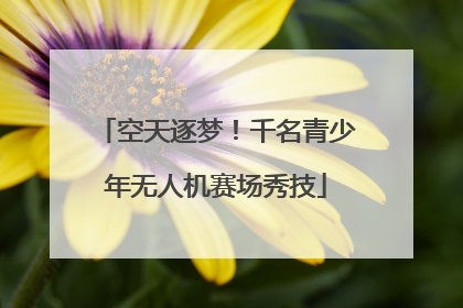 空天逐梦！千名青少年无人机赛场秀技