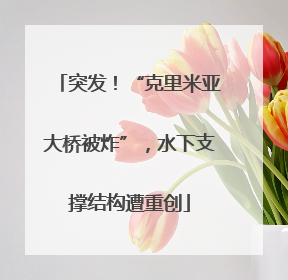 突发！“克里米亚大桥被炸”，水下支撑结构遭重创