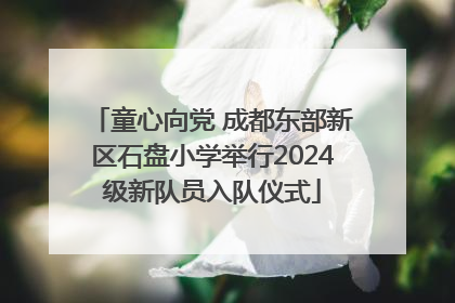 童心向党 成都东部新区石盘小学举行2024级新队员入队仪式