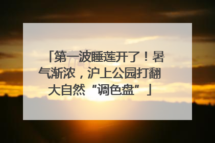 第一波睡莲开了！暑气渐浓，沪上公园打翻大自然“调色盘”