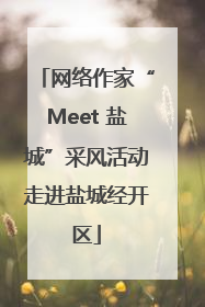 网络作家“Meet 盐城”采风活动走进盐城经开区