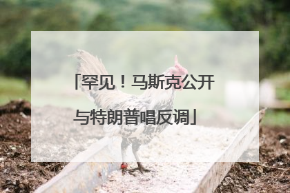 罕见！马斯克公开与特朗普唱反调