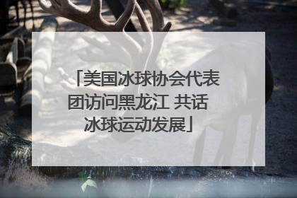 美国冰球协会代表团访问黑龙江 共话冰球运动发展