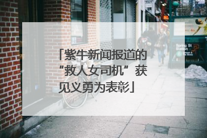 紫牛新闻报道的“救人女司机”获见义勇为表彰
