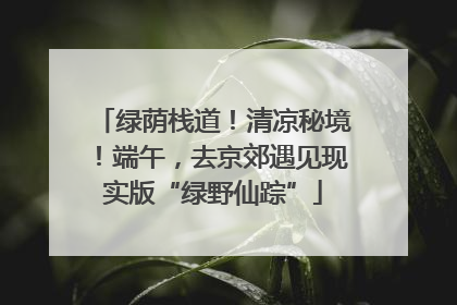 绿荫栈道！清凉秘境！端午，去京郊遇见现实版“绿野仙踪”