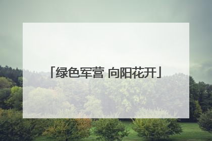 绿色军营 向阳花开