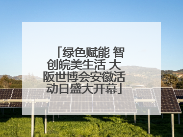 绿色赋能 智创皖美生活 大阪世博会安徽活动日盛大开幕