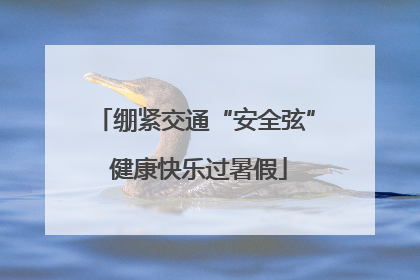 绷紧交通“安全弦” 健康快乐过暑假