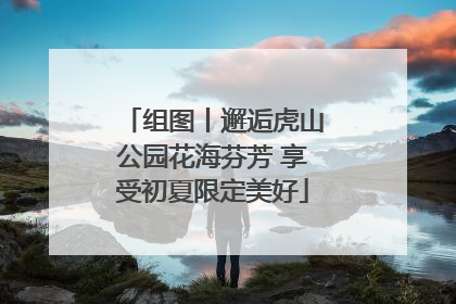 组图丨邂逅虎山公园花海芬芳 享受初夏限定美好