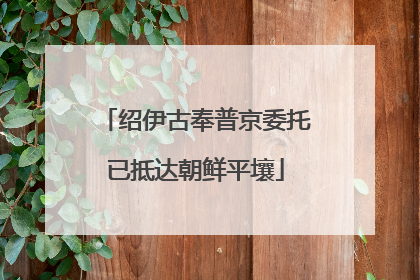 绍伊古奉普京委托已抵达朝鲜平壤