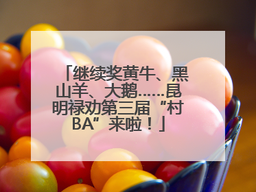 继续奖黄牛、黑山羊、大鹅……昆明禄劝第三届“村BA”来啦！