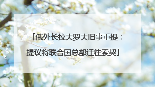 俄外长拉夫罗夫旧事重提：提议将联合国总部迁往索契