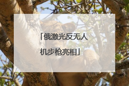 俄激光反无人机步枪亮相