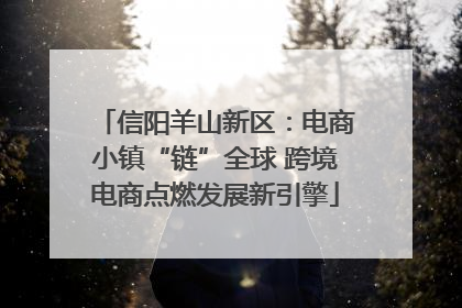 信阳羊山新区：电商小镇“链”全球 跨境电商点燃发展新引擎