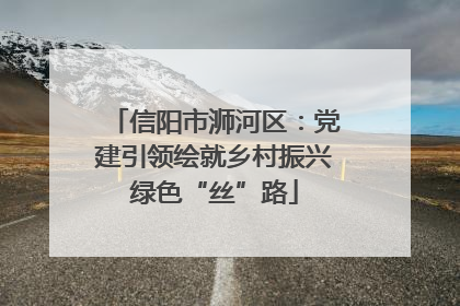 信阳市浉河区：党建引领绘就乡村振兴绿色“丝”路