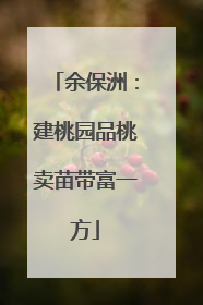余保洲：建桃园品桃卖苗带富一方