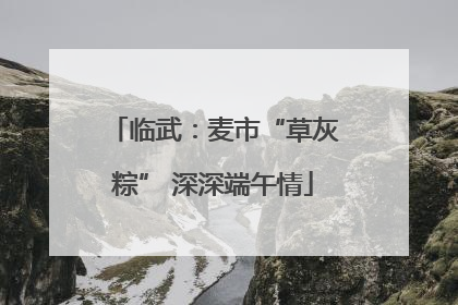 临武：麦市“草灰粽” 深深端午情