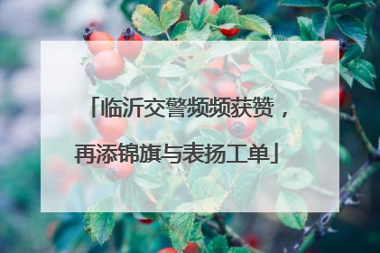 临沂交警频频获赞，再添锦旗与表扬工单