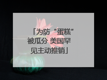 为防“蛋糕”被瓜分 美国罕见主动推销