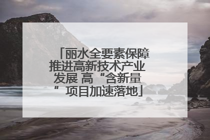 丽水全要素保障推进高新技术产业发展 高“含新量”项目加速落地