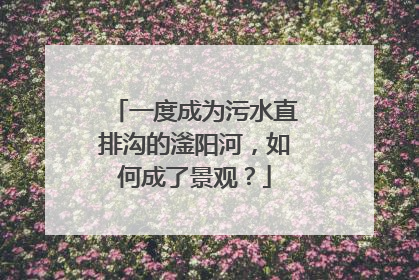 一度成为污水直排沟的滏阳河，如何成了景观？
