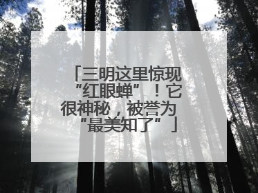 三明这里惊现“红眼蝉”！它很神秘，被誉为“最美知了”