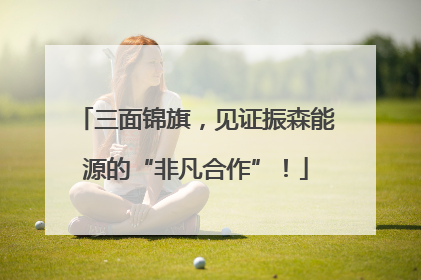 三面锦旗，见证振森能源的“非凡合作”！