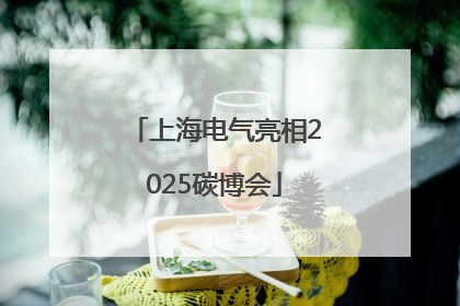 上海电气亮相2025碳博会