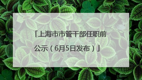 上海市市管干部任职前公示（6月5日发布）