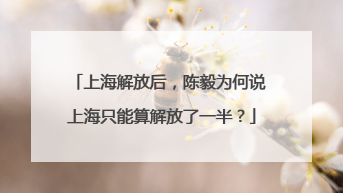 上海解放后，陈毅为何说上海只能算解放了一半？