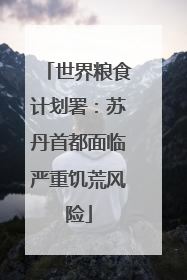 世界粮食计划署：苏丹首都面临严重饥荒风险