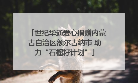 世纪华通爱心捐赠内蒙古自治区额尔古纳市 助力“石榴籽计划”