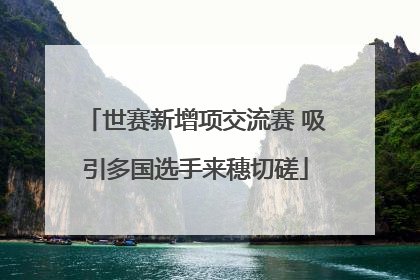 世赛新增项交流赛 吸引多国选手来穗切磋