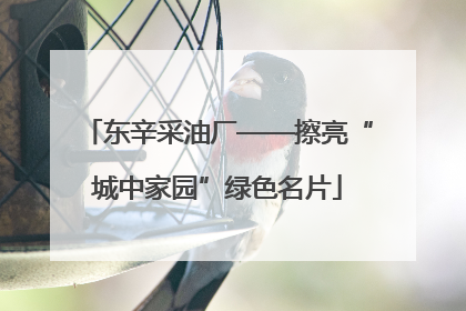 东辛采油厂——擦亮“城中家园”绿色名片